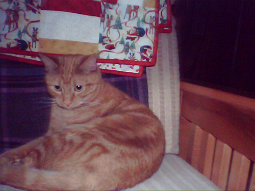 MagPicPi